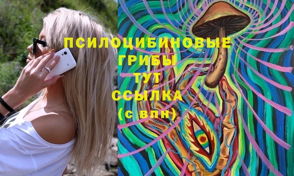 сатива Алексеевка