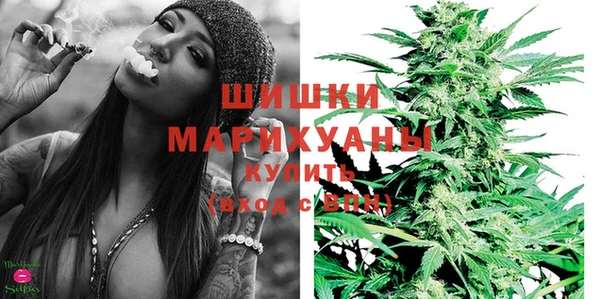 стаф Покачи